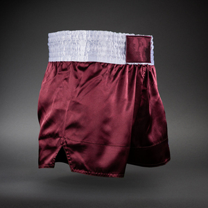 Shorts MMA de haute qualité, shorts de Muay Thai, shorts de boxe, plusieurs styles disponibles - Product Image 4