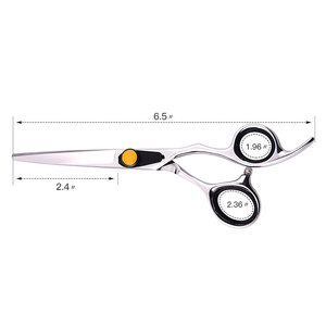 Ciseaux de coiffure professionnels en acier inoxydable 6CR13, lame tranchante, manche long, pour droitiers, usage en salon, 28 cm, SAAR GLOBAL - Product Image 2