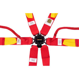 Motorsport Grade FIA Approved 8853 2016 Racing Harness Seat Belt Private Label OEM ODM Custom Logo Wholesale Cam Lock - Product Image 4