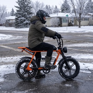 Bici Elettrica Robusta con Pneumatici Larghi e Portapacchi Centrale, E-bike per Ogni Condizione Meteo, Ideale per Spostamenti Invernali su Sentieri Innevati - Product Image 2