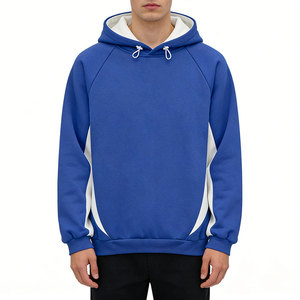 Sweat-shirt à capuche pour homme, style streetwear, imprimé logo au dos, coton French Terry, coupe classique, poche, style décontracté, automne, Econex Sports 350g - Product Image 1