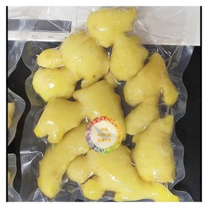 Racine de gingembre entière congelée du Vietnam, rhizome sélectionné pour la transformation culinaire à grande échelle - Product Image 4