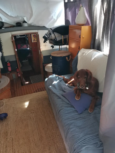 F-r-e-e-m-a-n 33 Bateaux de transport en vrac - Product Image 5