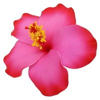 Penjualan Terlaris Sepanjang Masa, Dekorasi Fashion Ramah Lingkungan Berkualitas Tinggi, Bunga Hibiscus Hawaii Buatan Tangan dari Busa EVA, Bernuansa Tropis