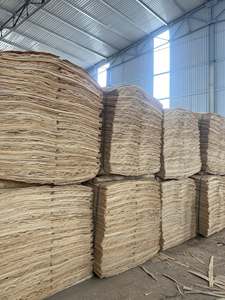 Placage rotatif en bois d'acacia 100% naturel, humidité 10-12%, longueur 1270 mm, design industriel pour contreplaqué de construction - Product Image 4