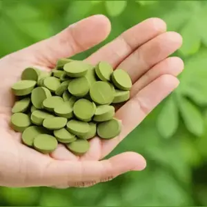 Tabletas de Moringa Herbal con Alto Contenido Antioxidante para Desintoxicación, Inmunidad, Energía y Apoyo al Metabolismo, Suplemento de Moringa Orgánica al por Mayor - Product Image 1