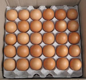 Œufs de table frais et fertiles de haute qualité, bruns et blancs, congelés, cuits, riches en protéines, 12 plateaux * 30 œufs, œufs de poule - Product Image 1