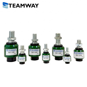Junta Flotante Serie KGT de TEAMWAY - Conector de Cilindro de Alta Precisión, Tamaño de Rosca M8-M20, Estándar ISO - Product Image 1