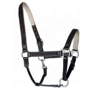 Plane Black Leather Empty Channel Horse Riding <b>Halter</b> - Product Image 1