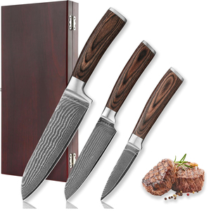 ชุดมีดครัวเหล็กกล้าคาร์บอนคุณภาพสูง สำหรับทำอาหารที่บ้านและร้านอาหาร พร้อมด้ามจับที่ทนทานและใช้งานสะดวก - Product Image 1