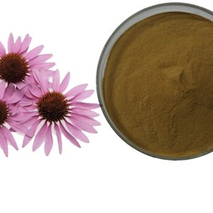 Extracto de Planta Herbal de Equinácea Purpurea, Rico en Antioxidantes Naturales, Fórmula Tradicional de Bienestar Herbal - Product Image 3