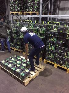 Citron vert frais du Vietnam sans pépins Meilleur prix - Directement de l'usine Melina - Product Image 5