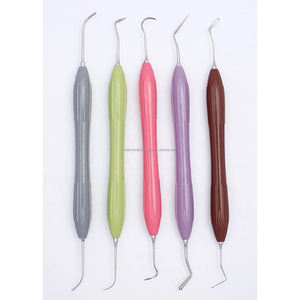 Kit de 5 instruments dentaires manuels réutilisables en silicone pour composites avec plateau en acier inoxydable CE ISO OEM ODM - Product Image 3