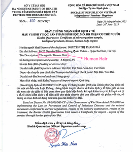 Meilleure vente, extensions de cheveux Remy naturelles vietnamiennes droites sans enchevêtrement, perruques sans colle de haute qualité, vente en gros de paquets de cheveux - Product Image 6