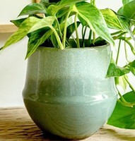 Pot de fleurs en céramique émaillée à la main avec un design incurvé lisse, finition durable, décoration élégante pour plantes d'intérieur