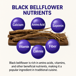 Jarabe de extracto de jengibre de pera de flor de globo negro 10g X 100 piezas antioxidante Natural adulto OEM Corea - Product Image 3