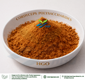 Fourniture directe d'usine HGO d'extrait de mycélium de Cordyceps naturel pur (qualité alimentaire) Spécification Cordyceps Polysaccharides 50% - Product Image 1