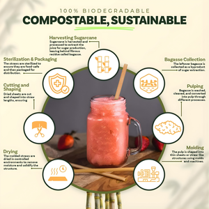 Pajitas de Fibra Vegetal de Bagazo de Caña de Azúcar Biodegradables y Compostables, Envueltas Individualmente, para Bebidas, Camping, Hechas de Caña de Azúcar - Product Image 6