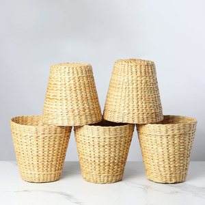 Macetas Decorativas de Flores y Plantas, Precio Directo de Fábrica, Macetas de Jacinto de Agua Natural - Product Image 1