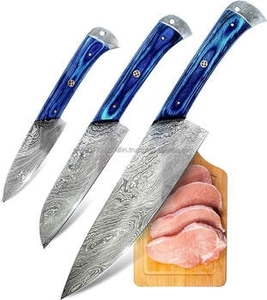 Ensemble de couteaux de chef professionnels en acier Damas multifonctionnels et écologiques, 5 pièces, avec manche en bois, pour la cuisine, vente chaude - Product Image 4