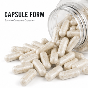 Premium <b>Creatine</b> <b>Monohydrate</b> Capsules Private Label OEM ODM Manufacturer Bulk Supply GMP Certified Export Quality - Product Image 4