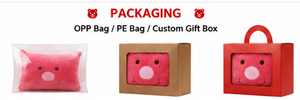 Coussin en peluche doux et mignon, coussin en velboa, cadeau personnalisé, OEM, vente en gros - Product Image 5
