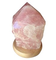 Sublimez votre espace avec la lampe à sel en forme d'œuf en matériau organique sculpté au toucher naturel pour mariages et fêtes par Sian Enterprises