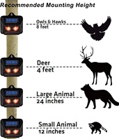 Lumières stroboscopiques rouges pour utilisation en intérieur dans les jardins, répulsif efficace contre les rats, dissuasion contre les cerfs, les ratons laveurs, les coyotes pour les animaux nocturnes