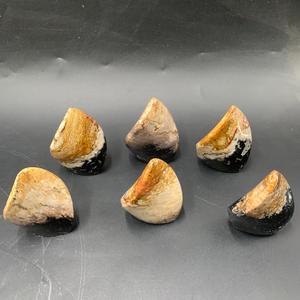 Sculpture décorative en racine de palmier naturelle de qualité supérieure, polie, sculptée à la flamme, origine Indonésie, 7,5 cm, Art & Objets de collection - Product Image 5