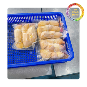 Mango Congelado de Vietnam en Rodajas y Trozos para Servicios de Alimentación y Distribución Minorista - Product Image 4