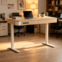 PRORIALS Bureau électrique ergonomique à moteur unique, 2 niveaux, avec grand tiroir invisible en métal, réglable en hauteur, pour le travail assis-debout, bureau et domicile