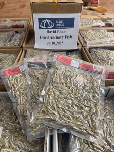 Anchoas Secas Vietnamitas de Primera Selección para la Industria de Procesamiento de Alimentos - Product Image 3