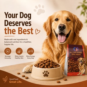 Alimento Seco para Perros con Alto Contenido de Proteínas, Marca Privada OEM, para Todas las Etapas de la Vida, Fórmula Personalizada, Paquete de 10 kg, Nutrición Completa, Proveedor a Granel - Product Image 4
