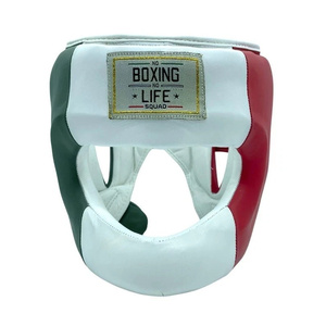 Precio al por mayor RTS, conjunto de boxeo de alta calidad hecho a medida, No Boxing No Life, conjunto de entrenamiento y sparring de cuero vacuno AS-SP-909 - Product Image 5
