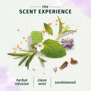 Shampooing aux herbes avec romarin et herbes naturelles, formulé pour nettoyer, nourrir et rafraîchir les cheveux, en flacon de 400 ml, sans [ingrédients inutiles/conséquences négatives]. - Product Image 3