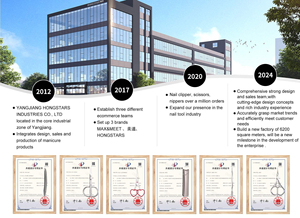 Premium Professional 4-in-1 <b>Nail</b> <b>Kit</b> for Manicure & Pedicure Metal Material with Single Spring Design - Product Image 6