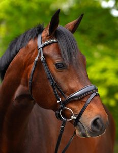 Bridon de dressage haut de gamme avec rênes en cuir souple, cuir indien, passepoil cognac et frontale ornée de cristaux - Product Image 4