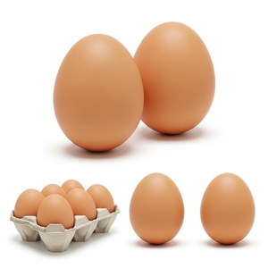Œufs de table frais de ferme, œufs de poule comestibles frais, sélectionnés pour la vente au détail, l'approvisionnement en épicerie et les commandes d'importation en gros avec emballage - Product Image 3