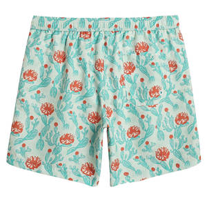 Pantalones Cortos de Playa Casuales Personalizados para Hombre, con Servicio OEM, para Gimnasio, Fitness, Verano, de Algodón y Poliéster - Product Image 3