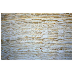 Fabricación de pulpa de fibra larga virgen blanqueada de madera blanda, materia prima para papel. - Product Image 6