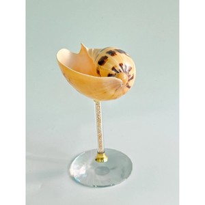 Verre à vin unique en forme de coquillage marin et en verre, parfait pour un usage personnel et pour les établissements hôteliers commerciaux. - Product Image 4