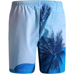 Pantalones Cortos Deportivos de Verano para Hombre, Diseño Moderno, Casuales, de Malla, para Playa, con Función Antiarrugas, Estampado, Logotipo Frontal y Bolsillos - Product Image 2