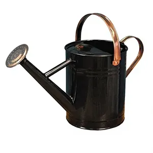 Regadera Metálica Roja para el Cuidado de Plantas de Interior y Exterior de Estilo Moderno, por Axiom Home Accents, Uso Contemporáneo y Estético - Product Image 1