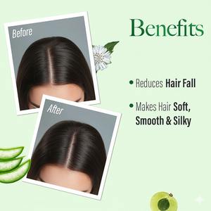 Productos de Belleza y Cuidado Personal Kesh King Champú Ayurvédico Anticaída con Aloe y 21 Hierbas 340ml - Product Image 3