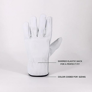 ถุงมือหนังสีขาวเนื้อเรียบ ปราศจากน้ำยาง สำหรับงานทั่วไป ถุงมือขับรถ - Product Image 2