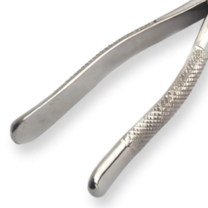 คีมถอนฟันแบบใช้มือ # เครื่องมือถอนฟันสแตนเลสเกรดผ่าตัด 1S พร้อมด้ามจับตามหลักสรีรศาสตร์ ได้รับการรับรองมาตรฐาน CE - Product Image 6