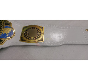 Heavyweight Wrestling Championship <b>Belts</b>-Durable & Comfortable Gold Plated Zinc Alloy Customizable Size & Logo - Product Image 5