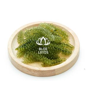 BEST-SELLER : Algues de mer séchées durables du Vietnam (Caulerpa Lentillifera) – Riches en nutriments – Directement des importateurs - Product Image 1
