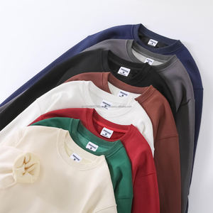 French Terry Street wear Heavyweight 500g Sudadera con capucha gruesa Logotipo personalizado en blanco Cuello redondo Sudadera y sudaderas con capucha unisex - Product Image 4