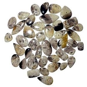 Wholesale Supply Natural Fossilized Palm Root Gemstone Beautiful Organic Pattern Stone for Jewelry Making At Best Market Price - Product Image 5